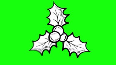 Yeşil arka planda Noel meyveleriyle basit animasyon canlandırması