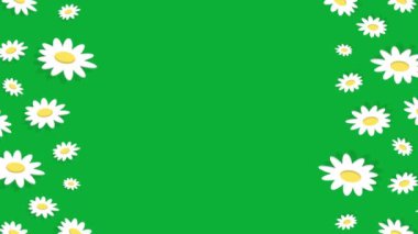 papatya desenli arkaplan canlandırması 