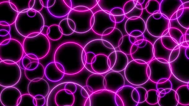 Neon Circles Background View — Stock Video