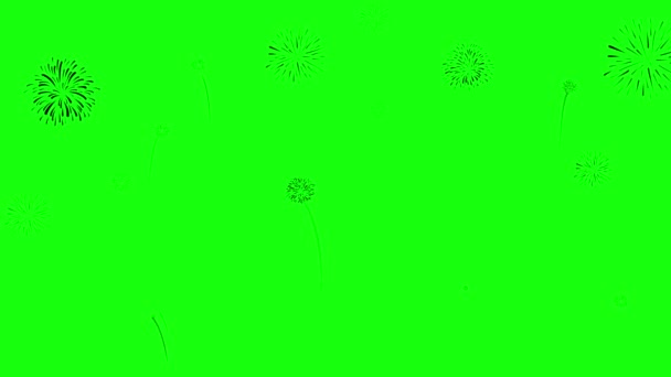 Loop Nieuwjaar Avond Silhouet Vuurwerk Viering Geïsoleerd Groen Scherm Beweging — Stockvideo