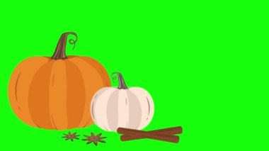 4k Animasyon Balkabakları, Tarçın Çubukları ve Vanilya. Dekoratif Sonbahar Elementleri Ayarlandı. İzole düşme mevsimi nesneleri. Sonbahar tasarımı yeşil krom anahtar ekranda izole edildi.