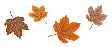 sonbahar yaprakları vektör illüstrasyon tasarımını ayarlar