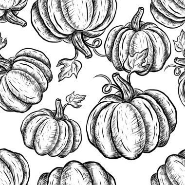 Vektör El beyaz arka planda kusursuz balkabağı deseni çizdi. Kalemle çizilmiş balkabağı dokusu. Klasik sebze biçimi arkaplan
