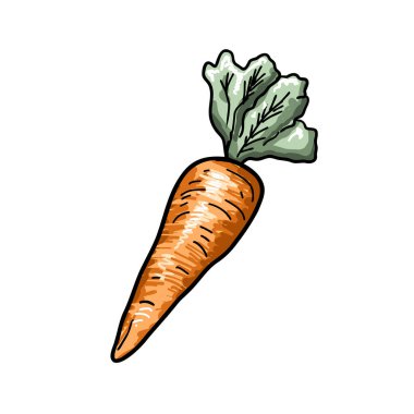 El Kaplama Klasik Havuç Tarzı Beyaz Arkaplanda İzole Edilmiş. Sebzelerin retro vektör çizimi. Havuç tasarımı ögesi.