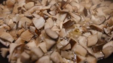 İstiridye mantarlı Pleurotus ostreatus kızartma tavasında haşlama suyu ve buharla yakın çekim.