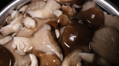 Pişirmeden önce suya batırılmış taze kahverengi istiridye mantarlarının üst görüntüsü..