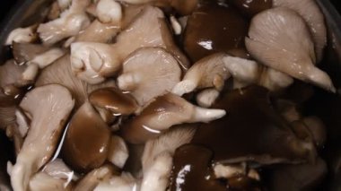 Pişirmeden önce suya batırılmış taze kahverengi istiridye mantarlarının üst görüntüsü..