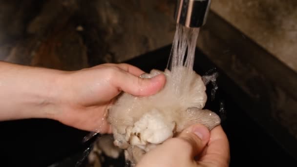 Крупним Планом Чоловіки Миють Сиру Устрицю Під Водою — стокове відео