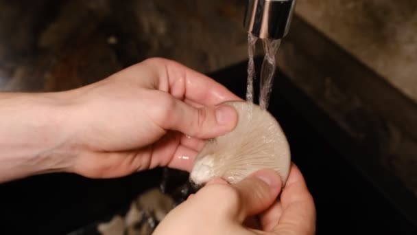 水道水の下で生牡蠣を洗う男の手を閉じる — ストック動画