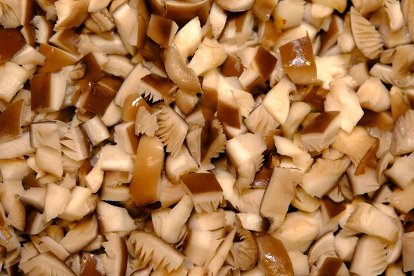 Oyster Mushroom Pleurotus Ostreatus Close Cozinhar Frigideira Com Suco Ebulição — Fotografia de Stock