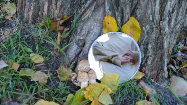 女人的背影和手在圆形的镜子里移动 站在自然环境中 秋天的空气中 树下有泡沫和蘑菇 — 图库视频影像
