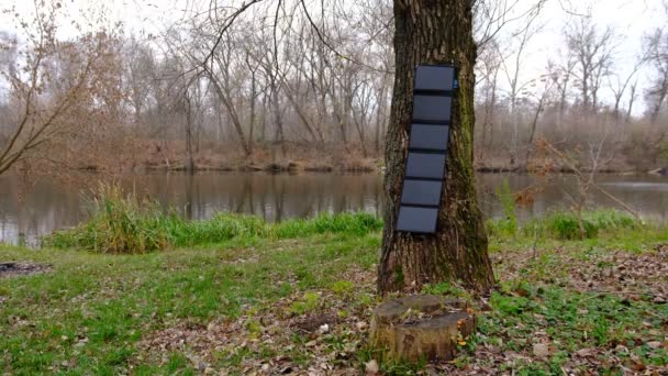 在树上的便携式太阳能电池板通过多功能电缆 电源库 笔记本电脑等向智能手机充电 野营或家中没有电的清洁能源 — 图库视频影像