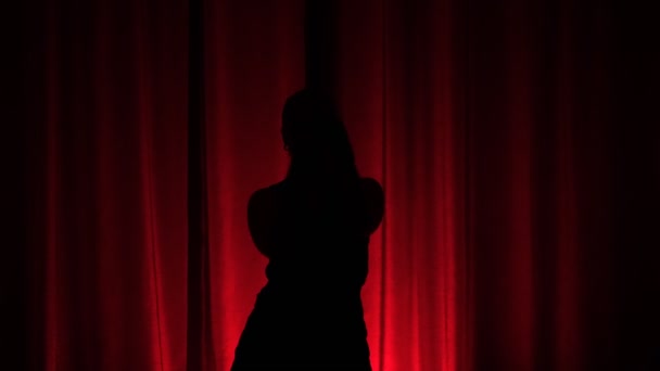 Silhouet Van Aantrekkelijke Lichaamsvorm Met Knipperend Lang Haar Met Rood — Stockvideo