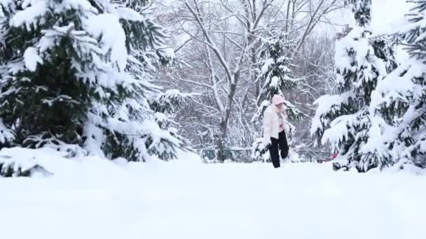 Anne Kız Kadın Kışın Ormanda Kızaklar Arka Planda Beyaz Kış — Stok video