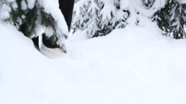 女孩或妇女的腿在森林中行走 背负着雪橇和白色的冬季风景 — 图库视频影像