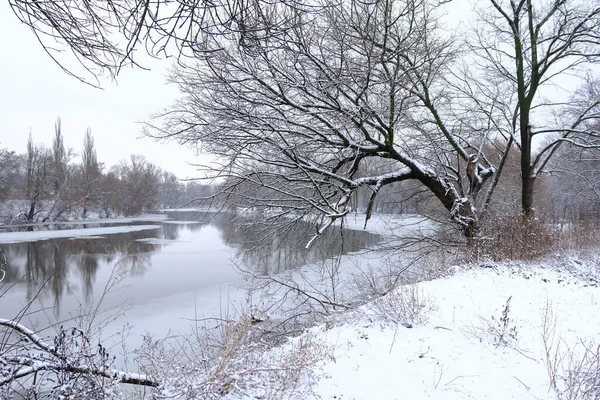 The river with snow in it and a forest near covered with snow in winter.