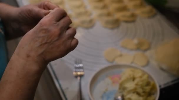 Old Woman Hands Cooking Ukrainian Traditional Vareniki Dumplings Perogy Potato — Wideo stockowe