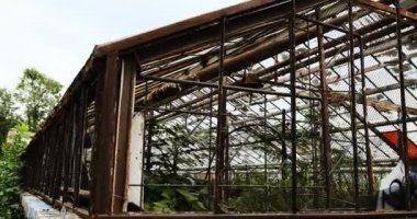 Terk edilmiş eski sera paslı metal yapılar aşırı büyümüş çimenler vahşi bitkiler atmosfer güzellik bozulması görüntüler doğa tarafından geri kazanılmış unutulmuş kentsel keşifler terk edilmiş uzay.
