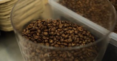 Barista taze kavrulmuş kahve çekirdeklerini öğütücüye döküyor. Yakın çekim, demleme, kahve hazırlama kahvecisi kahvecide espresso yapıyor. Kahveci mutfağında taze fasulye öğütüyor..