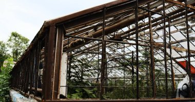 old abandoned greenhouse rusted metal structures overgrown grass wild plants atmospheric captures beauty decay showcasing forgotten architecture reclaimed by nature urban exploration derelict space. clipart