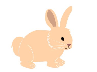 Sevimli, güzel, krem rengi tavşan, tavşan ya da tavşan. Paskalya sembolü ya da maskotu. Vektör simgelemesi beyaz arkaplanda izole edildi.