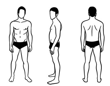  Önünde, arkasında ve arkasında iç çamaşırı olan yetişkin bir adam tasviri. Beyaz arkaplanda vektör çizimi izole edildi.
