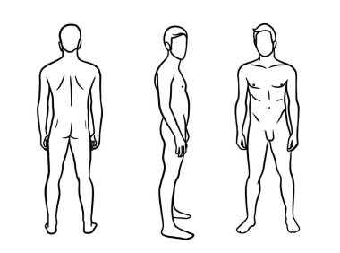 Önünde, arkasında ve arkasında basit hatları olan yetişkin bir erkeğin çizimleri. Beyaz arkaplanda vektör çizimi izole edildi.