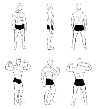 Ön, yan ve arka manzarası olan ve kaslarını gösteren genç bir haltercinin çizimleri. Beyaz arkaplanda izole edilmiş vektör.