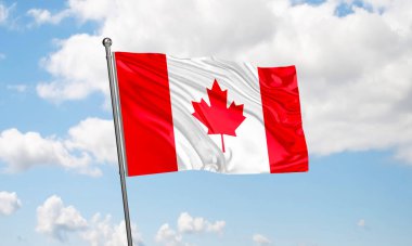 Kanada bayrağı gökyüzünde dalgalanıyor. 3B Hazırlama