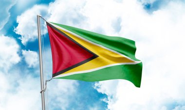 Gökyüzünde sallanan Guyana bayrağı. 3B Hazırlama
