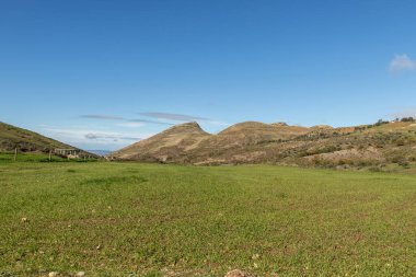 Green meadow and blue sky with clouds in the background.Bazina Joumine, Bizerte, Tunisia.