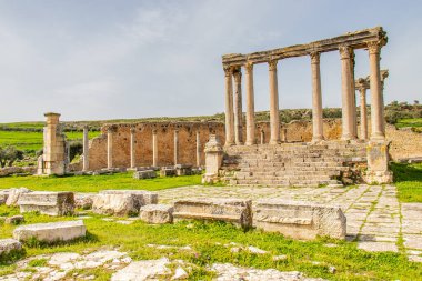 Tunus, Afrika 'daki ünlü Dougga arkeolojik sitesi. Unesco 'nun Dünya Mirası Sitesi.