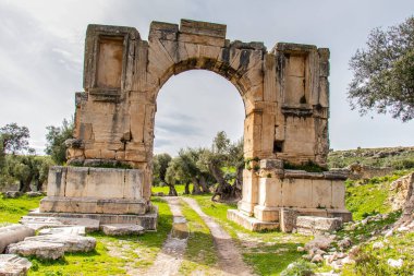 Tunus, Afrika 'daki ünlü Dougga arkeolojik sitesi. Unesco 'nun Dünya Mirası Sitesi.