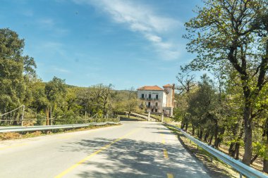 Ön planda ağaçlar, arkada mavi gökyüzü, Tunus manzarası, Ain Draham, Jendouba, Tunus