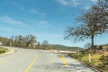 Ön planda ağaçlar, arkada mavi gökyüzü, Tunus manzarası, Ain Draham, Jendouba, Tunus