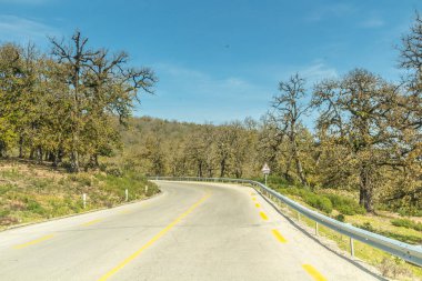Ön planda ağaçlar, arkada mavi gökyüzü, Tunus manzarası, Ain Draham, Jendouba, Tunus