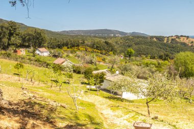 Tunus manzaralı köy Ain Draham, Jendouba, Tunus