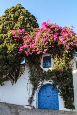 Afrika, Tunus 'taki Sidi Bou Said kıyı köyünün geleneksel mimarisinin mavi kapısı