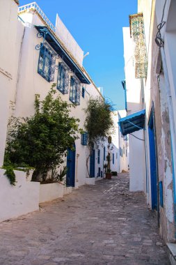 Beyaz-mavi şehir Sidi Bou Said, Tunus, Kuzey Afrika