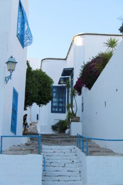 Beyaz-mavi şehir Sidi Bou Said, Tunus, Kuzey Afrika