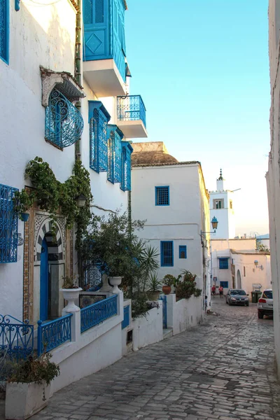 Ciudad Blanco Azul Sidi Bou Said Túnez Norte África — Foto de Stock