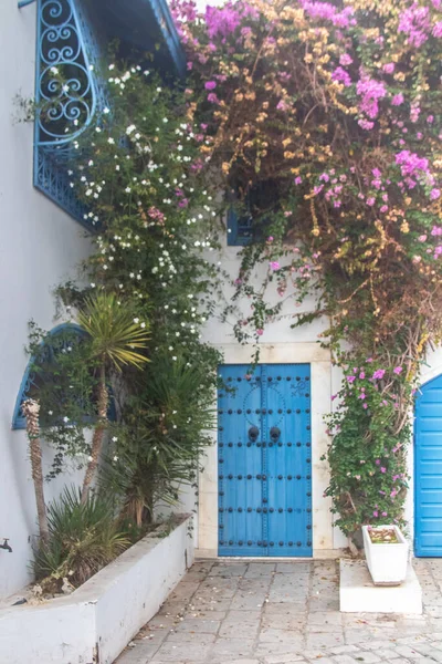 Porta Azul Arquitetura Tradicional Aldeia Costeira Sidi Bou Said Tunísia — Fotografia de Stock