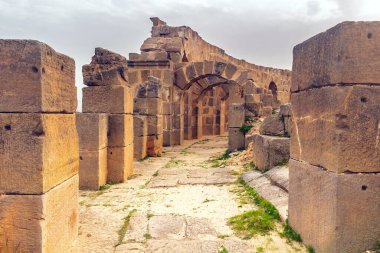 Uthina 'yı keşfetmek. Tunus 'un Zagouan Yolundaki Olağanüstü Arkeolojik Alanı