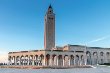 Kartaca 'daki Malik ibn Anas Camii, Tunus, Kuzey Afrika