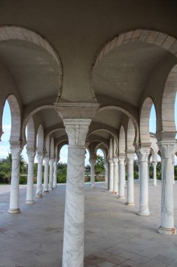 Kartaca 'daki Malik ibn Anas Camii, Tunus, Kuzey Afrika