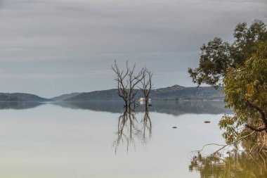 Sidi El Barrak Barajı, Beja, Tunus 'taki dikkate değer bir su kaynağı. Kuzey Afrika