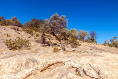 Görkemli Djebel Ousselat. Tunus Sırt Sırtı 'nda Bir Kireçtaşı Dağı