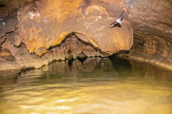 Ain Dhab Cave Siliana Tunisko Severní Afrika — Stock fotografie