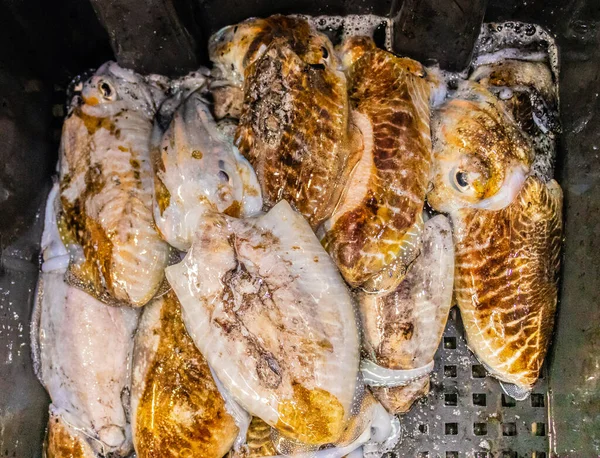 시장에서 나왔어 하루의 어획량 — 스톡 사진