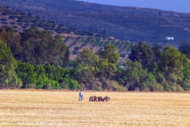 Rades, Tunus 'un güneyinde zengin bir kültür mirası olan canlı bir banliyö.